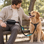 A relaxed park break with a hands-free leash and golden retriever